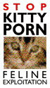 Stop 'kitty porn' picture